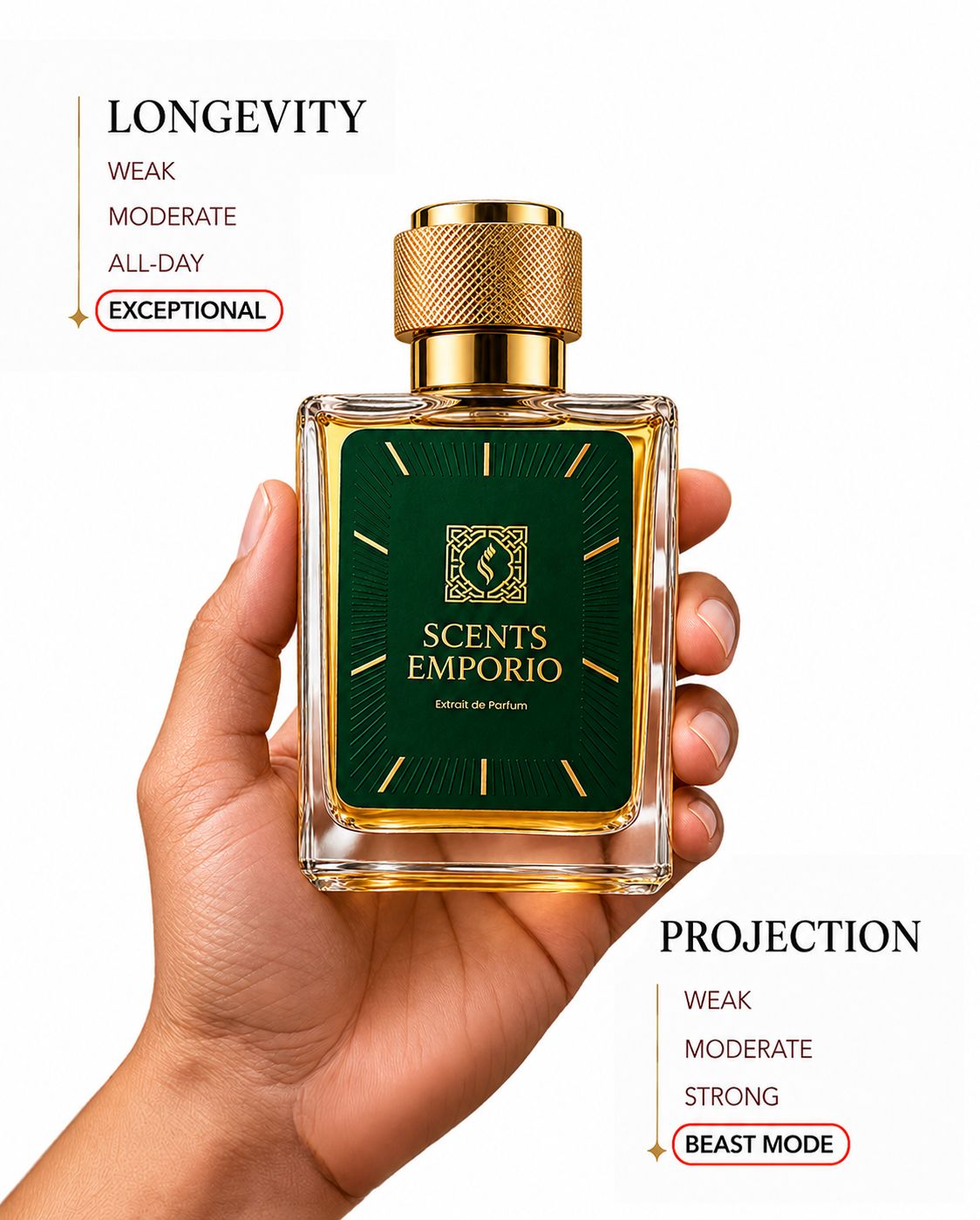 Inspired by Acqua di Gio Absolu | Giorgio Armani